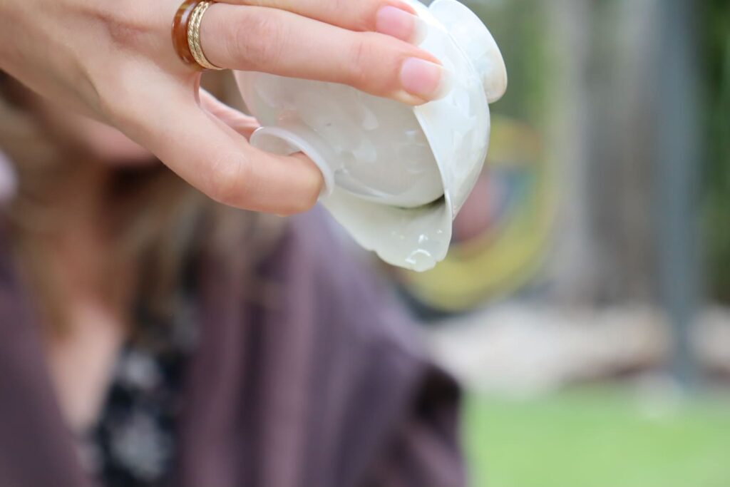 gaiwan chine fins flocons