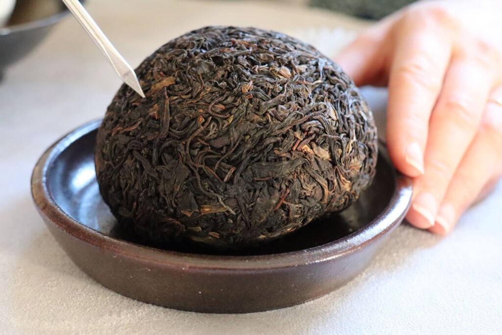 thé rouge corée master 