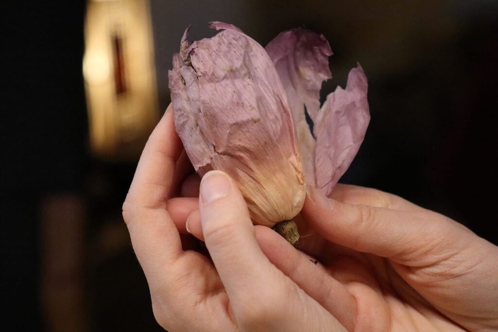 Lotus Vietnam thé Tra 