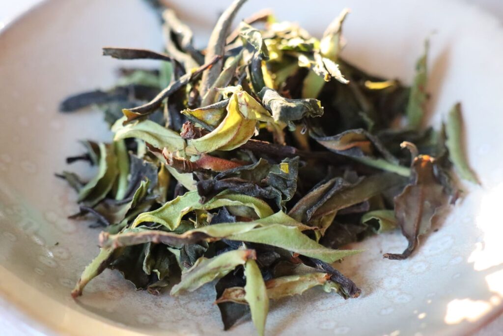 atelier,infusions,tisanes,thé