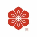 contact,Alsace,Instagram,Maison Tsubaki